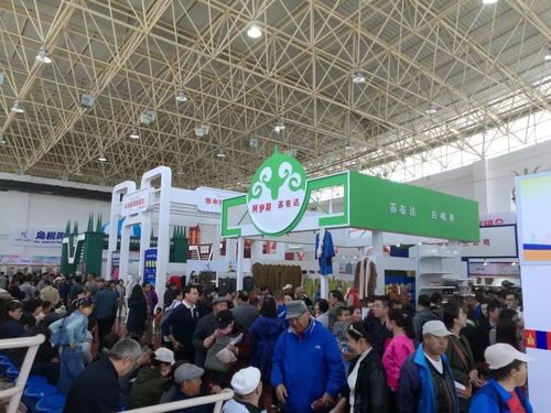第十三屆中俄蒙經(jīng)貿(mào)洽談暨商品展銷會圓滿落幕，俄蒙展廳現(xiàn)場火爆彰顯區(qū)域合作新活力